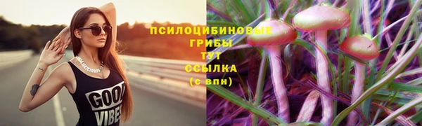 дурь Алексеевка