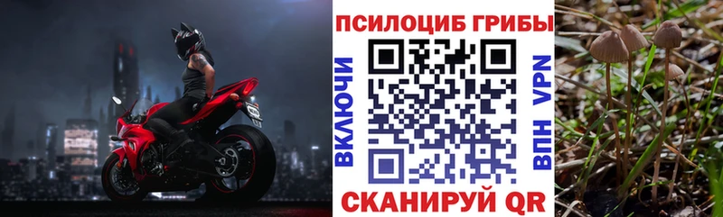 наркошоп  Жуковка  Галлюциногенные грибы Magic Shrooms 